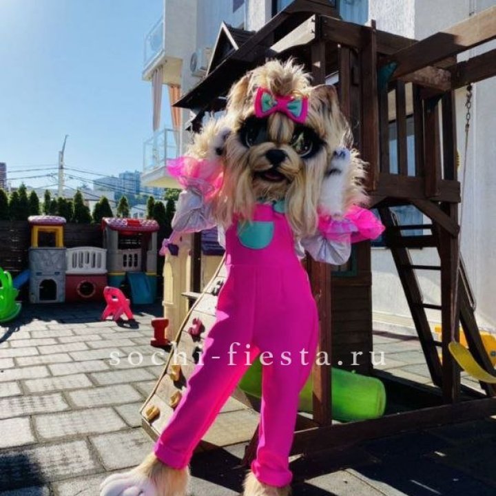 Аниматор Гламурная Собака в Брянске
