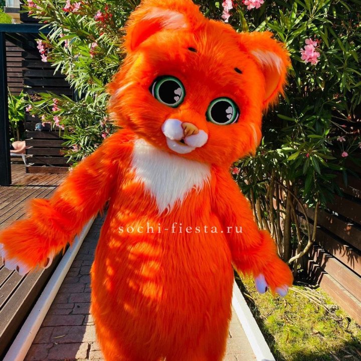 Аниматор Котик в Брянске