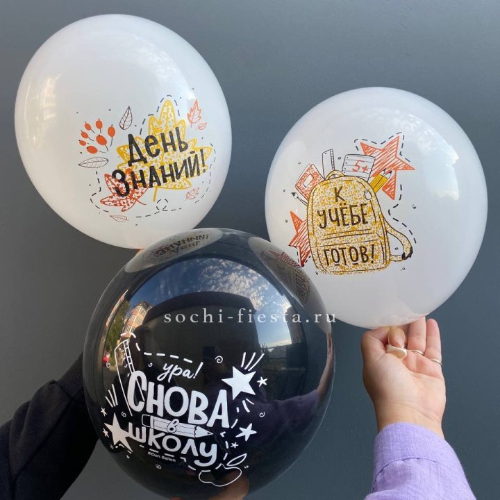 Воздушный шар к 1 сентября в Брянске