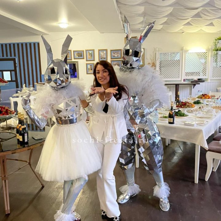 Аниматор Зеркальный заяц в Брянске