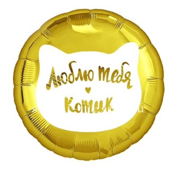 Фольгированный шар "Люблю тебя, Котик" в Брянске