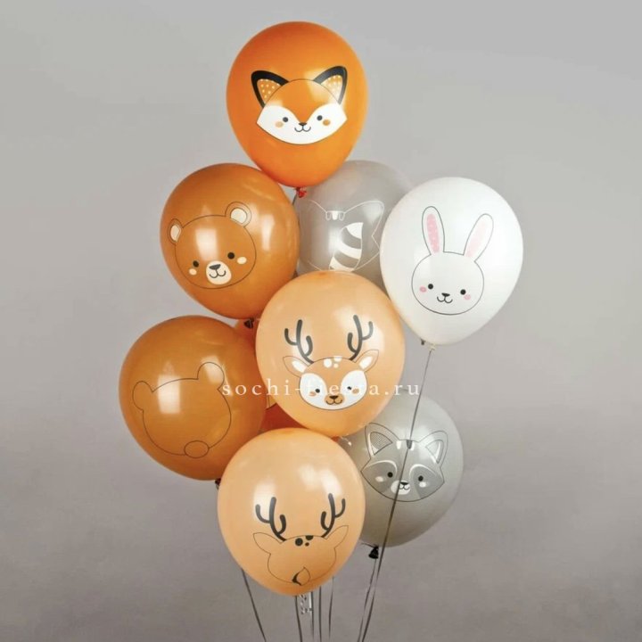 Воздушный шар "Животные" в Брянске