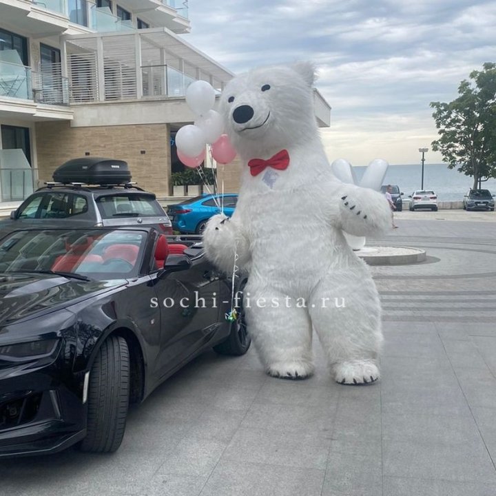 Аниматор Белый Медведь в Брянске