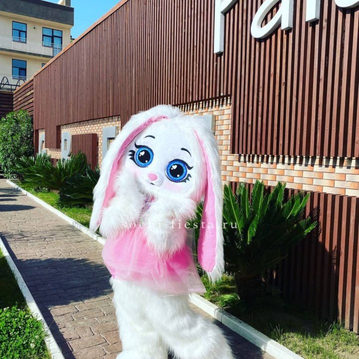 Аниматор Зайка в Брянске