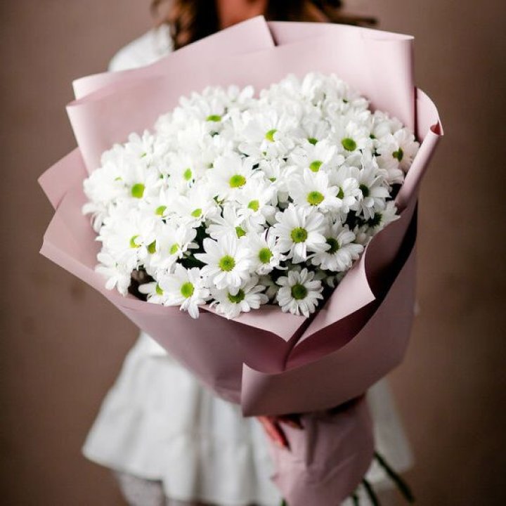 Букет хризантем №2 в Брянске