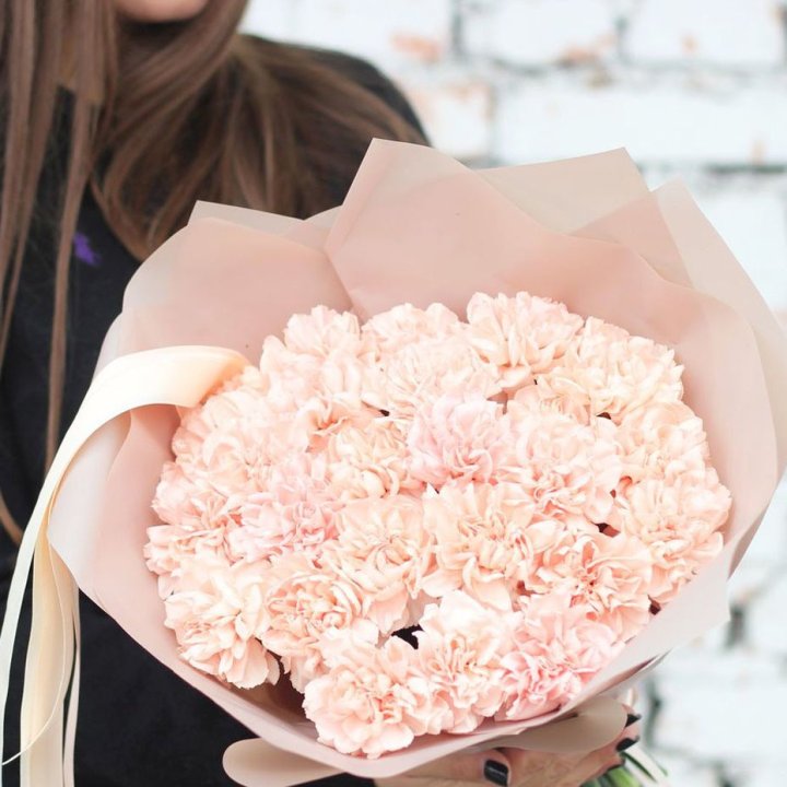 Диантусы №2 в Брянске