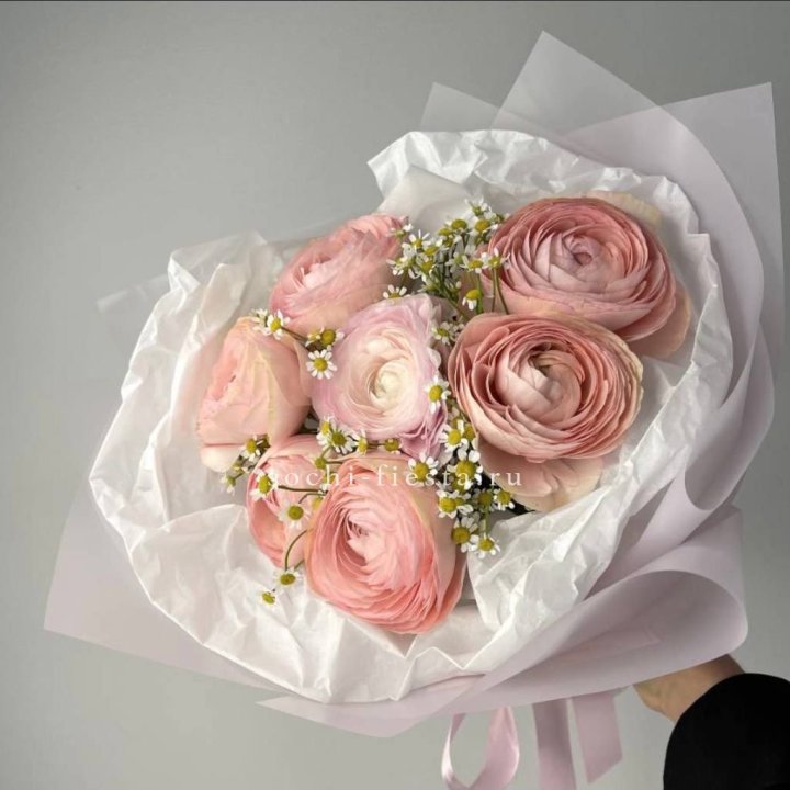 Ранункулюсы с ромашками в Брянске