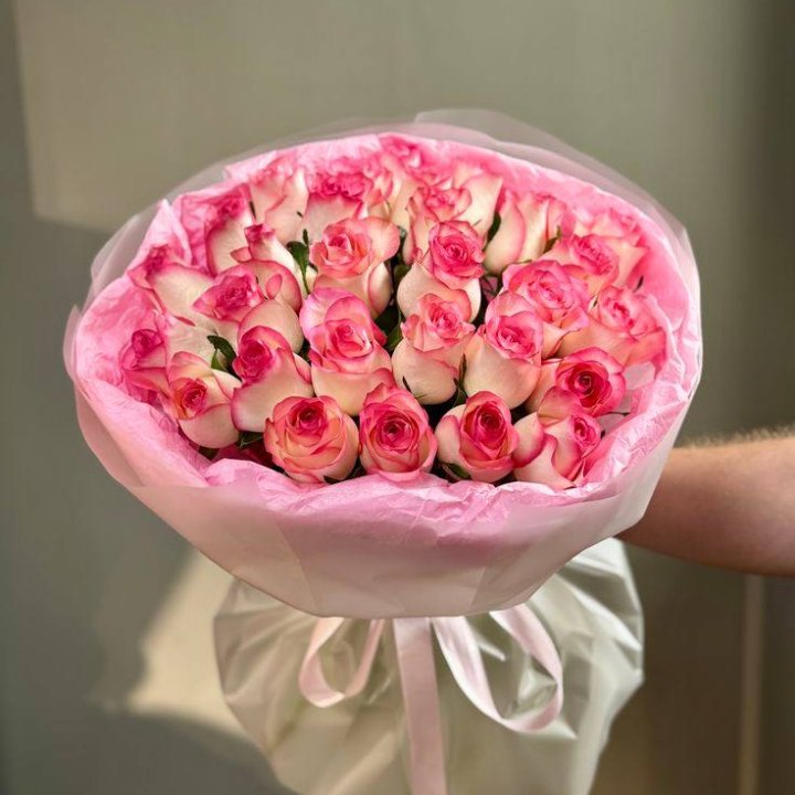 29 джумилий в Брянске