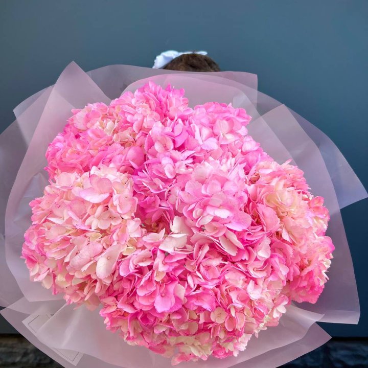 9 ярко розовых гортензий в Брянске