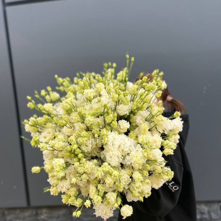 51 белая эустома в Брянске