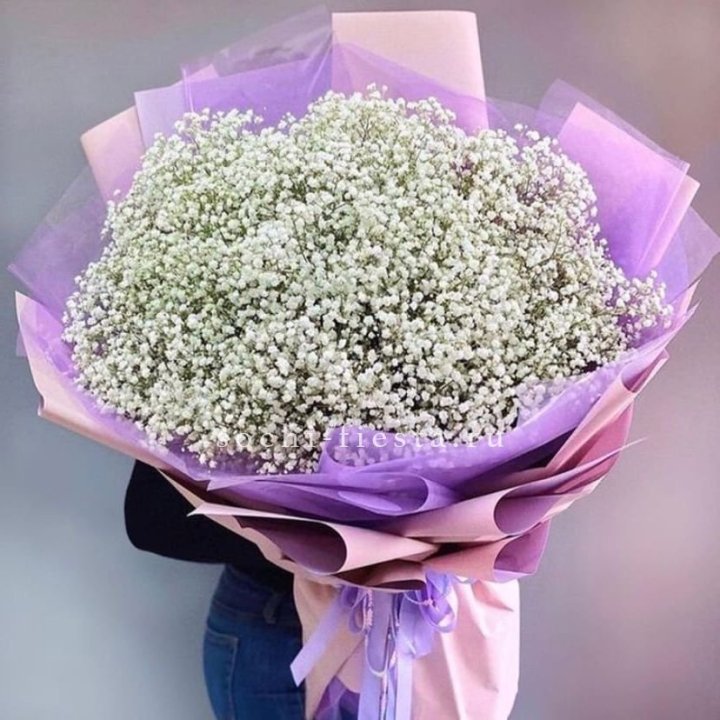 Облако белых гипсофил в Брянске