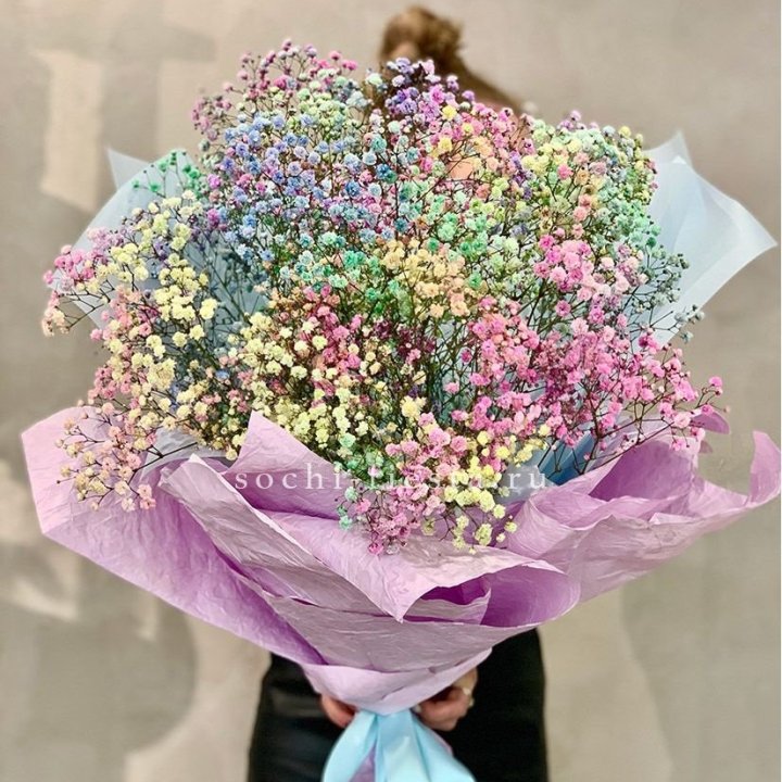 Радужные гипсофилы №2 в Брянске