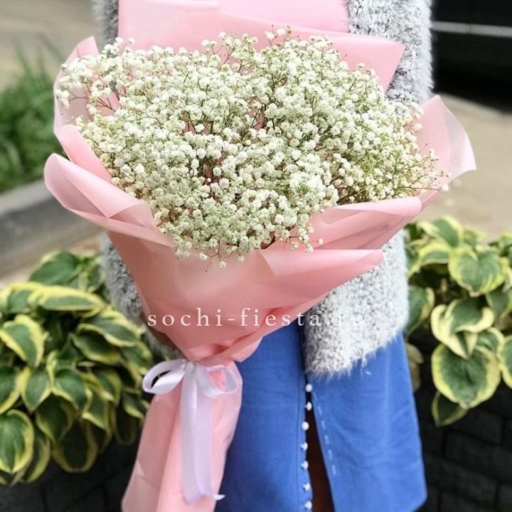 Белоснежные гипсофилы в Брянске