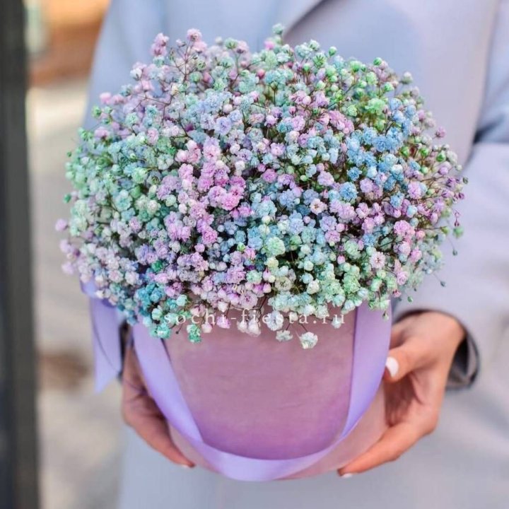 Гипсофилы в шляпной коробке "Кандилайт" в Брянске