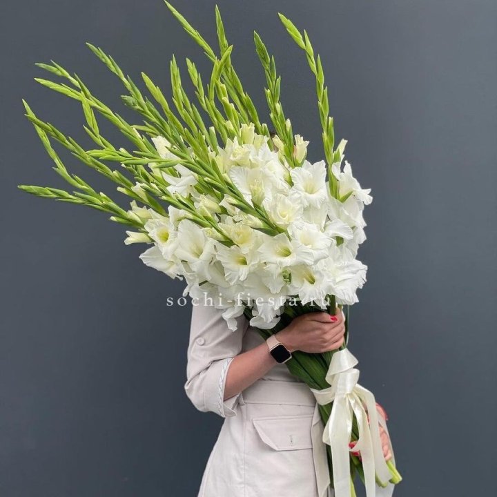 19 белых гладиолусов под ленту в Брянске