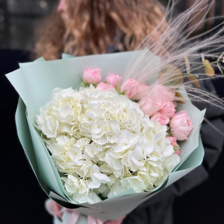 Гортензия "Жасмин" в Брянске