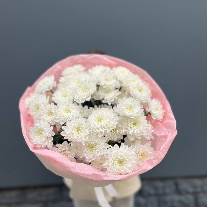  5 хризантем  в Брянске