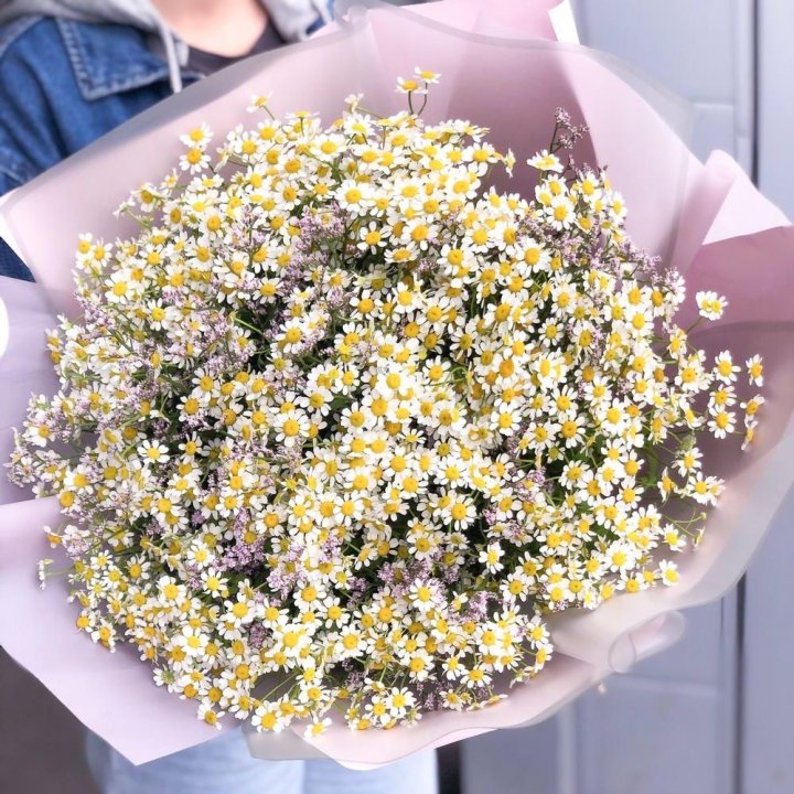 Букет ромашек №1 в Брянске