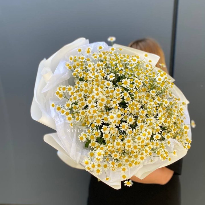 Букет ромашек "Фемели" в Брянске