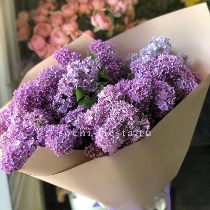 Букет сирени №2 в Брянске