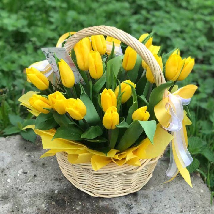 25 желтых тюльпанов в корзине в Брянске