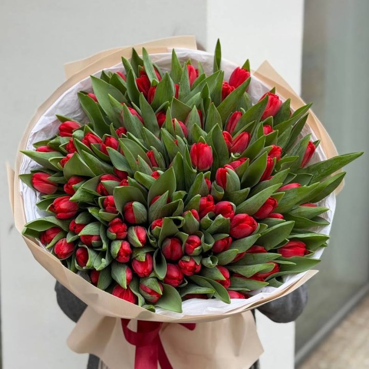 101 красный тюльпан в Брянске