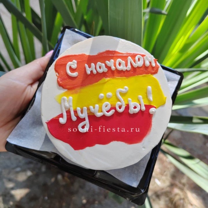 Бенто-торт "С началом учёбы"" в Брянске