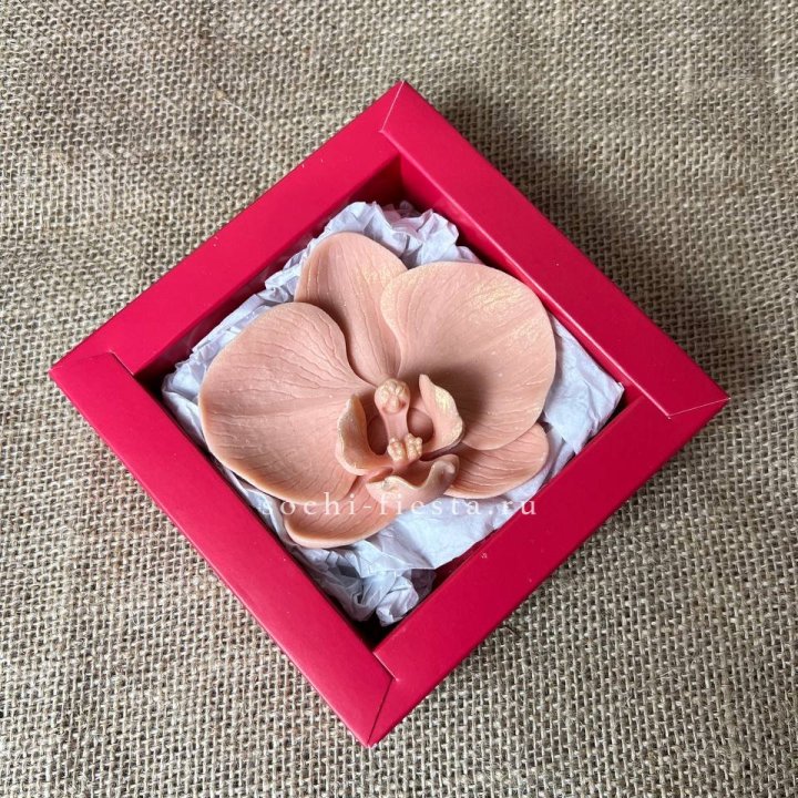 Бельгийский шоколад Орхидея в Брянске