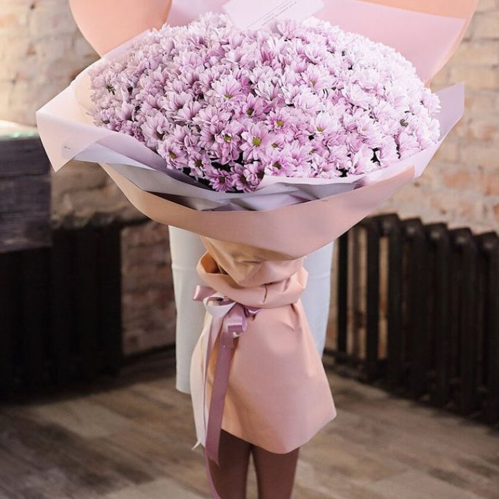 Облако хризантем №1 в Брянске