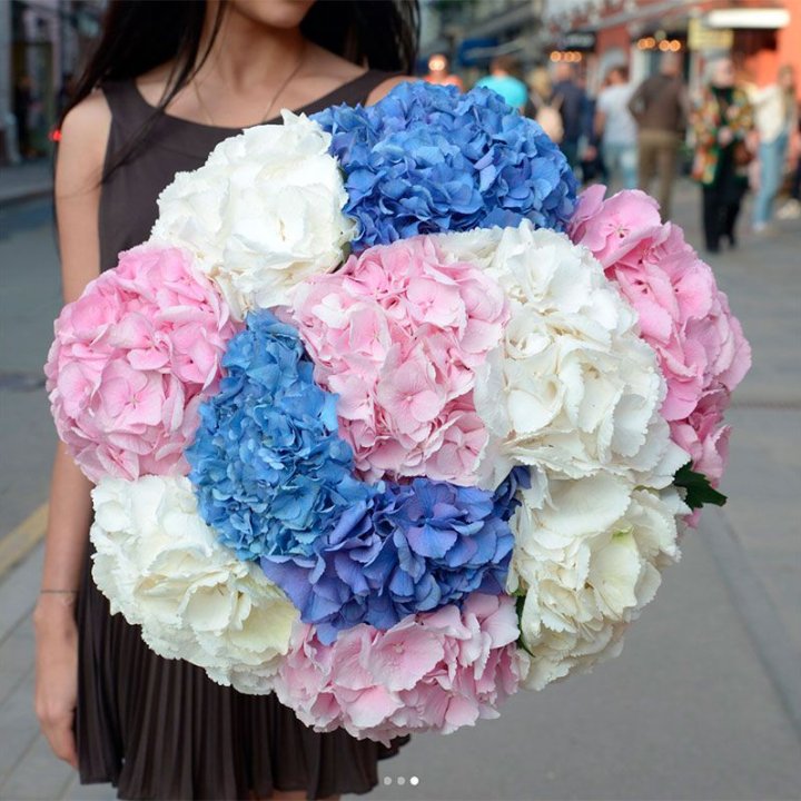 Букет гортензий "Инь-Янь" в Брянске