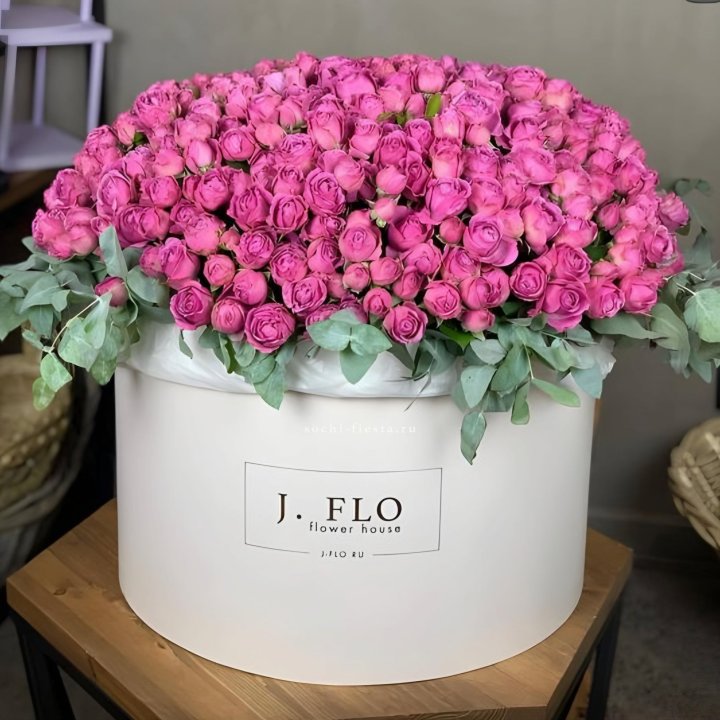 Цилиндр с Мисти Бабблс  в Брянске