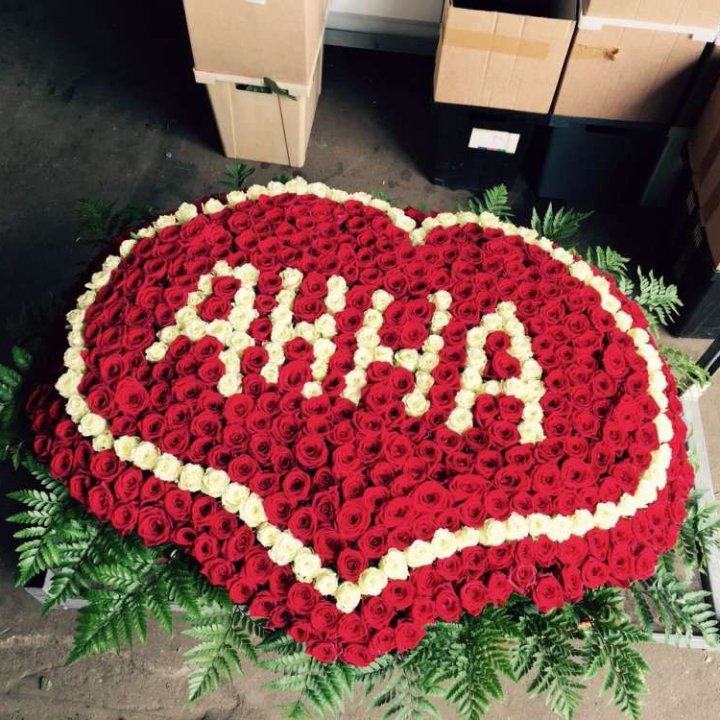 555 роз с именем в Брянске