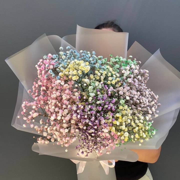 Радужные гипсофилы  в Брянске