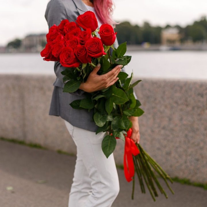 15 метровых голландских роз в Брянске