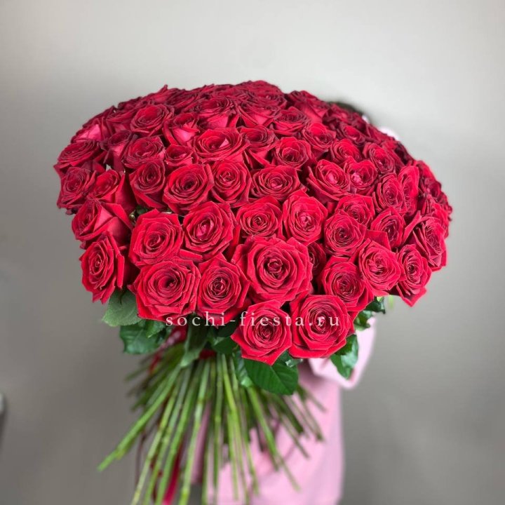 101  голландская роза  в Брянске