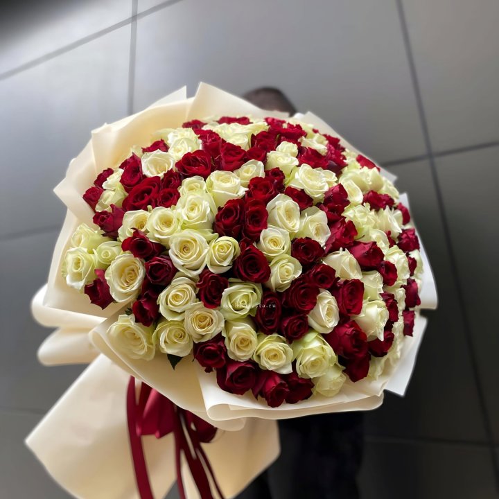 101 высокая импортная роза  в Брянске