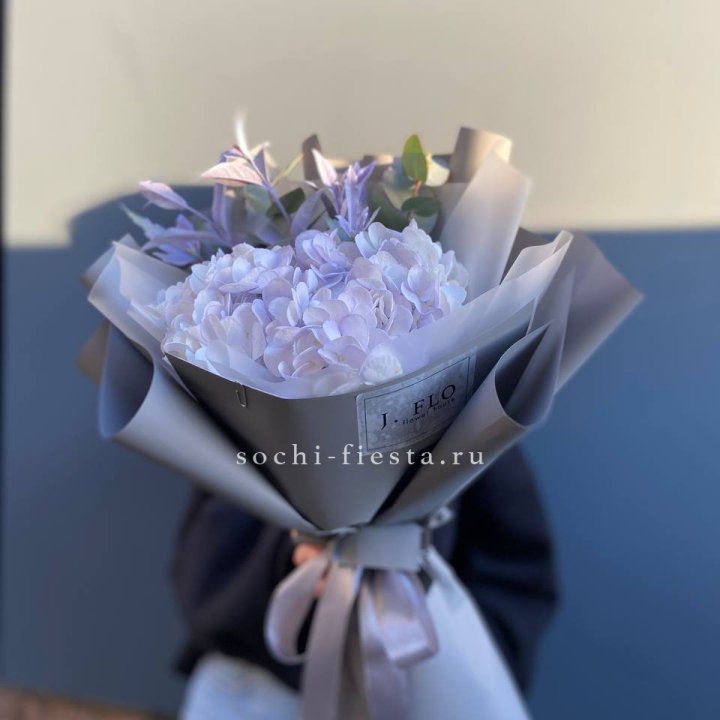 Гортензия "Виолета" в Брянске