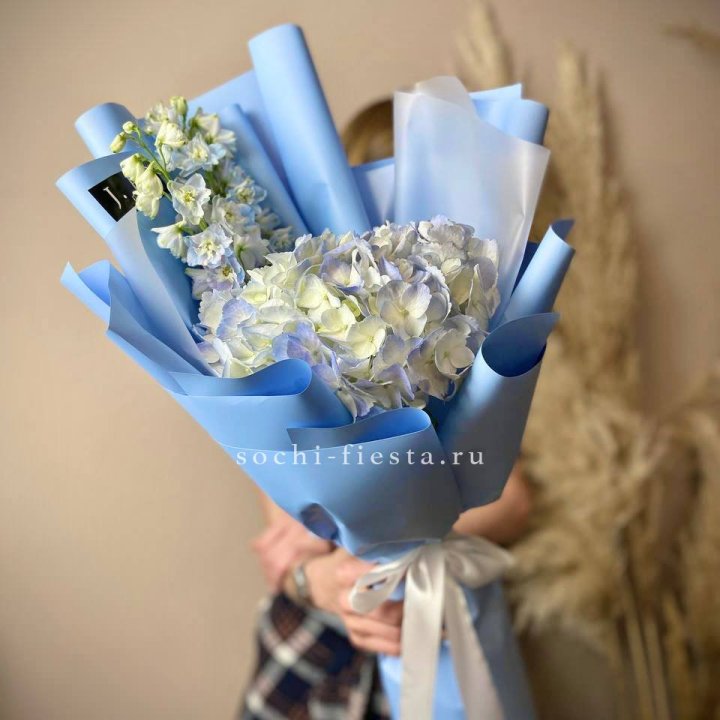 Гортензия "Блю скай" в Брянске