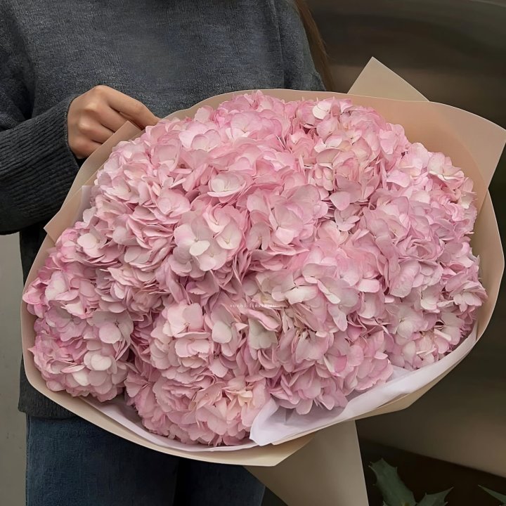 Гортензия  "РОЗЕ" в Брянске