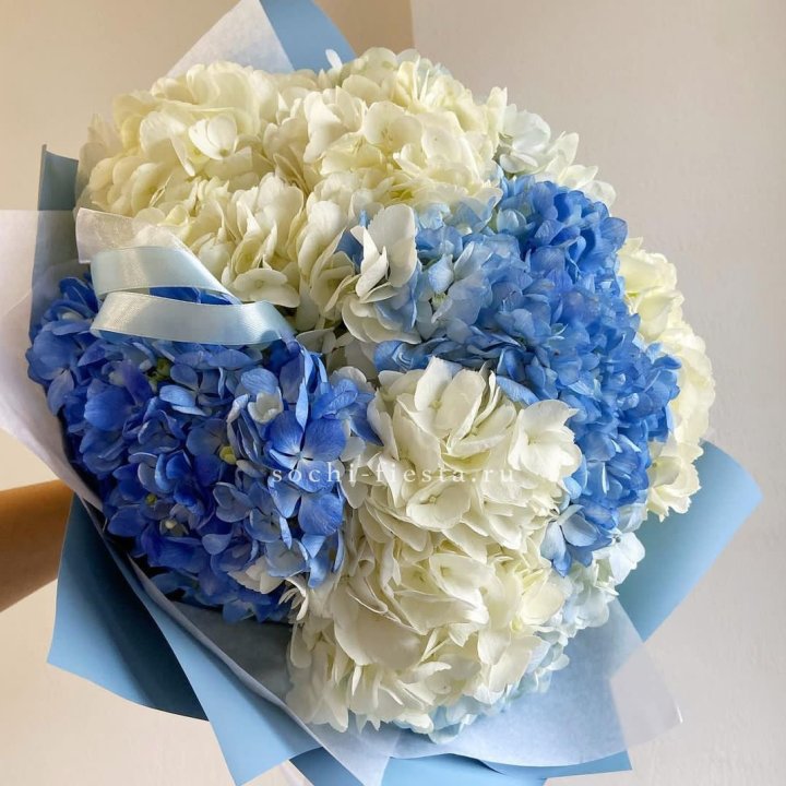 Букет гортензий "Голубая лаза" в Брянске