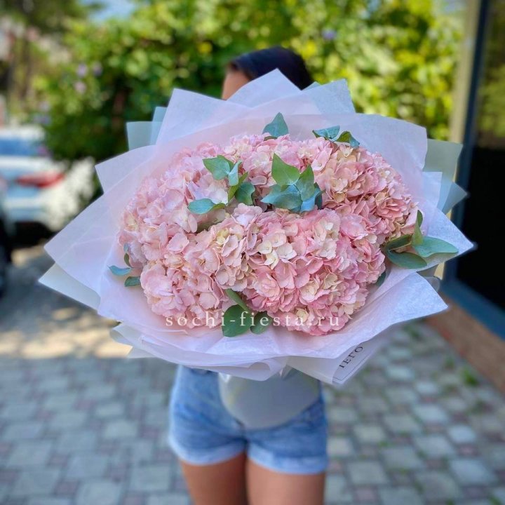 5 розовых гортензий  в Брянске