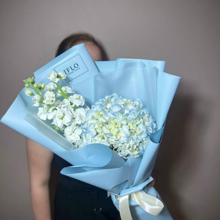 Гортензия голубая с маттиолой в Брянске