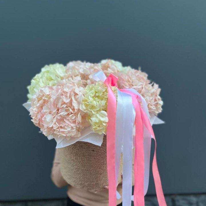 7 гортензий в кашпо в Брянске