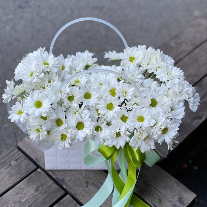 Сумка с хризантемами ромашками в Брянске