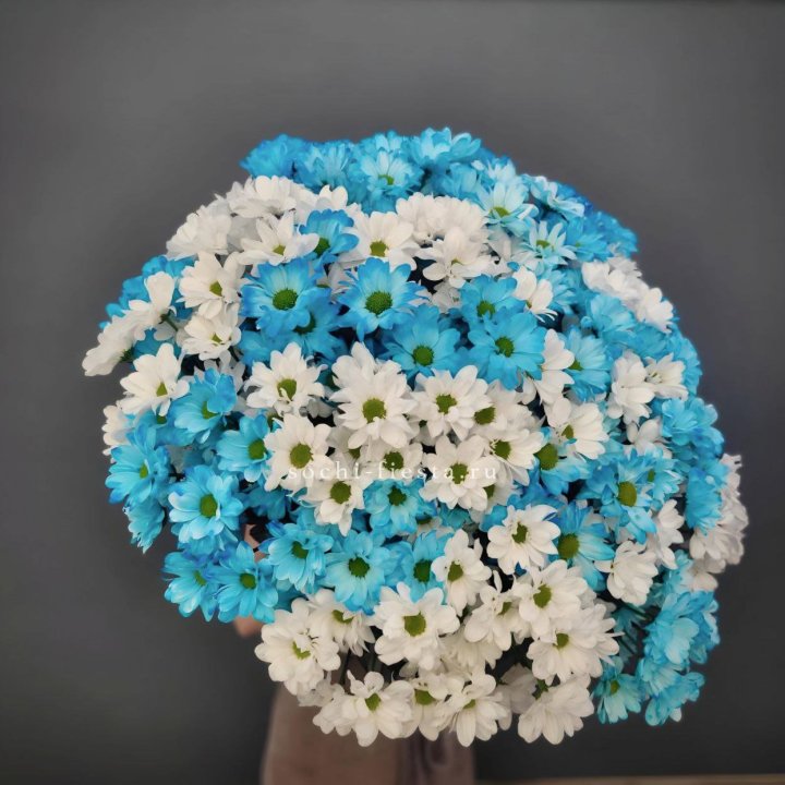  Букет хризантем микс в Брянске