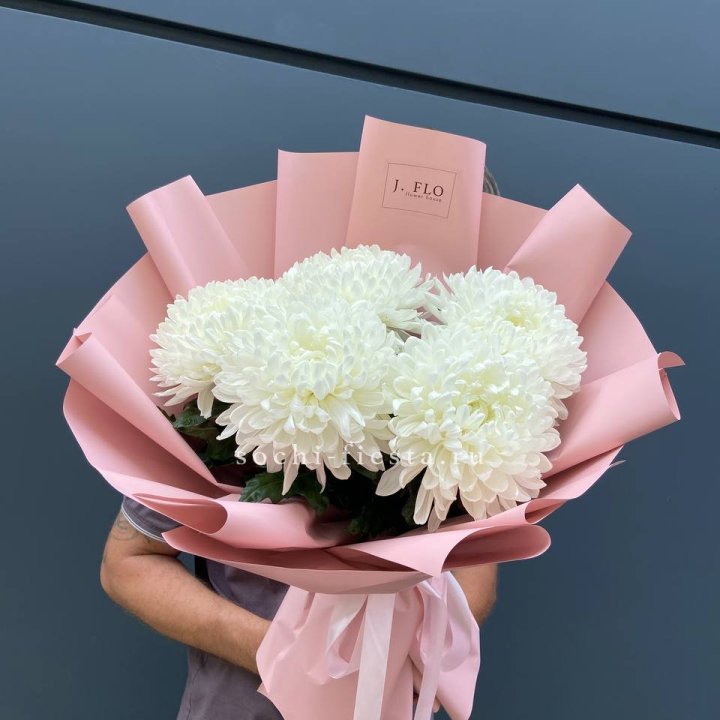 Профитроли №2 в Брянске