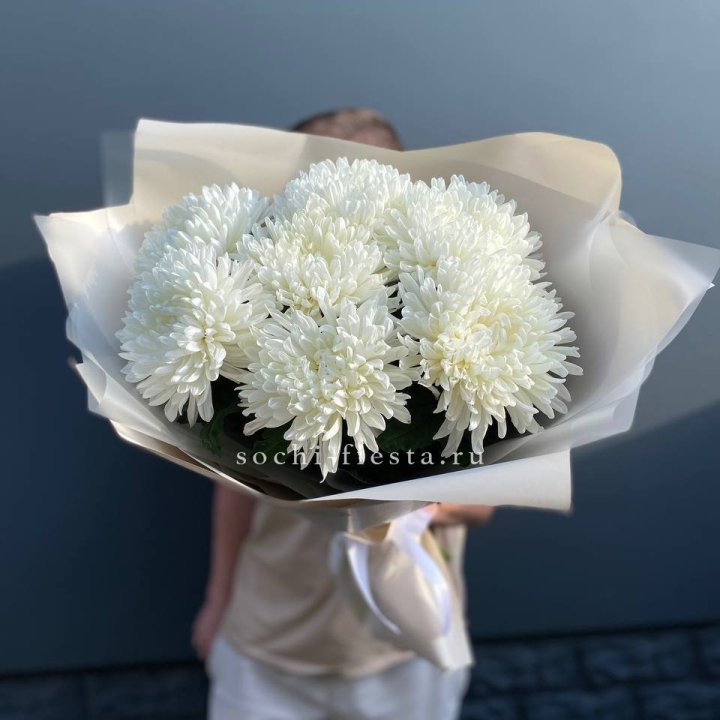 Профитроли в Брянске