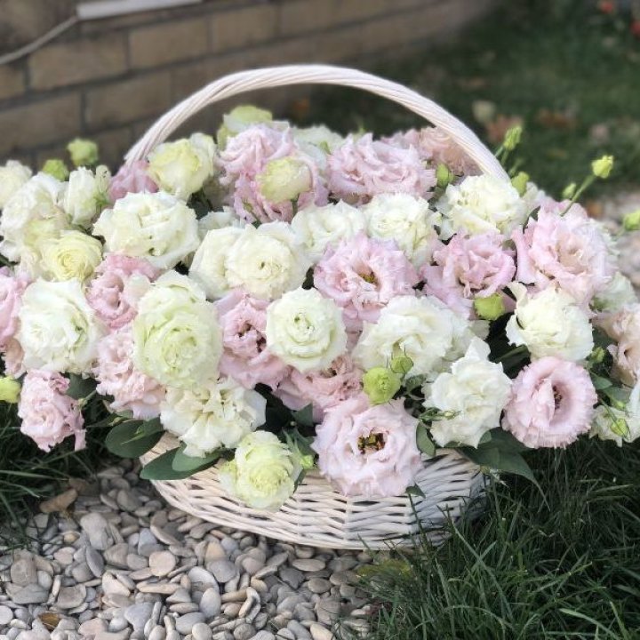 Корзина с эустомой в Брянске