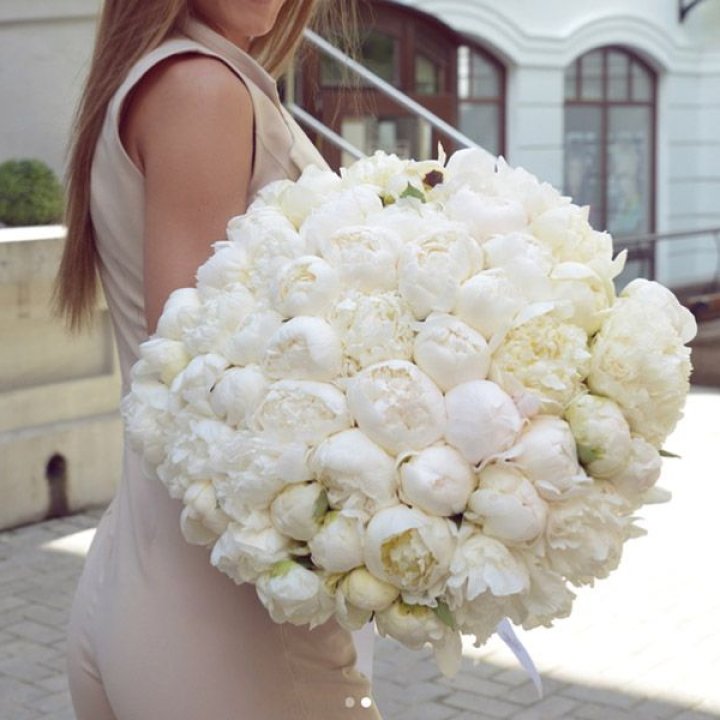 51 белый пион в Брянске