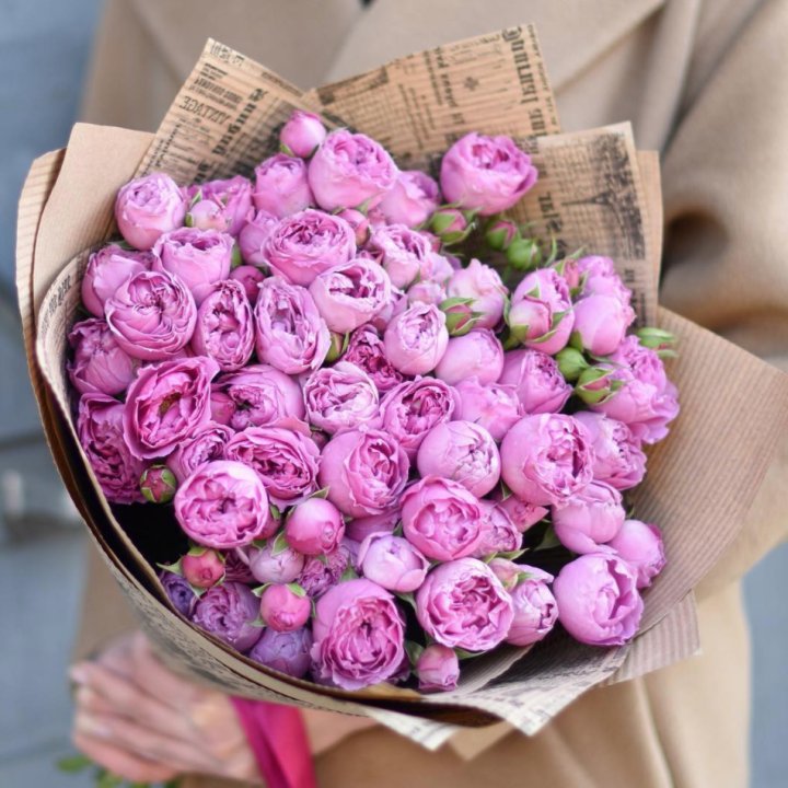 Роза Мисти Баблс в Брянске